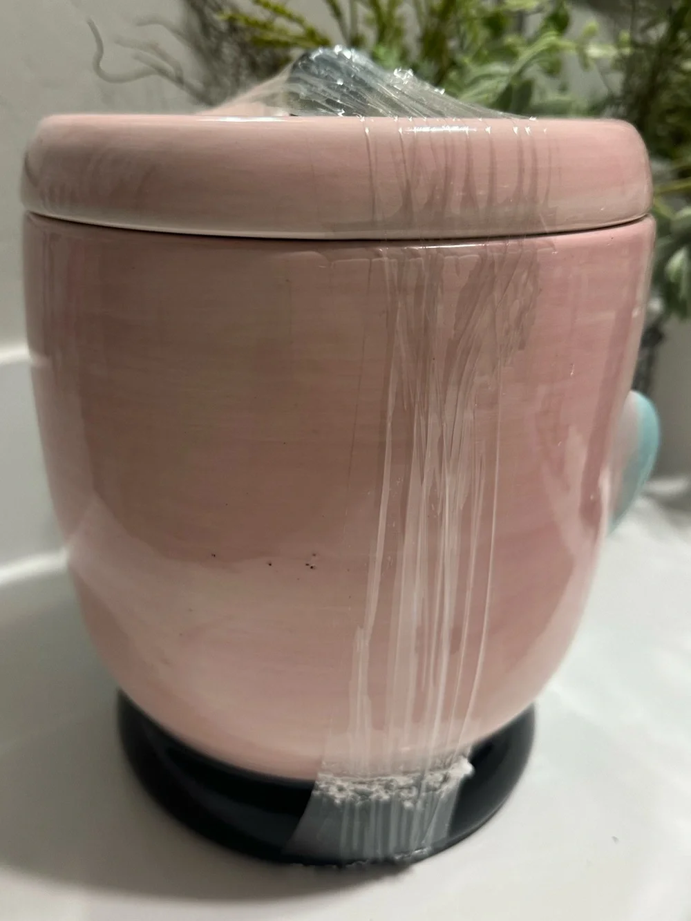 Brand New Pastel Vampire Halloween Ceramic Cookie Jar Pink & Blue